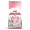ROYAL CANIN Cat Kitten 400 G 2 ROYAL CANIN Cat Kitten 400 G -alimentation chats boutique cat kitten 18