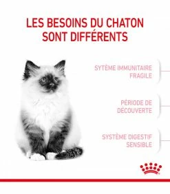 ROYAL CANIN Cat Kitten 2 Kg -alimentation chats boutique cat kitten 2