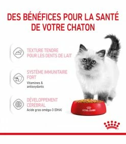 ROYAL CANIN CAT KITTEN BOUCHEE EN GELEE 12 X 85G -alimentation chats boutique cat kitten bouchee en gelee 12 x 85g 2