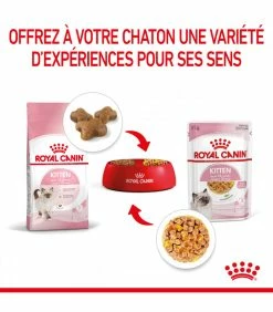 ROYAL CANIN CAT KITTEN BOUCHEE EN GELEE 12 X 85G -alimentation chats boutique cat kitten bouchee en gelee 12 x 85g 3