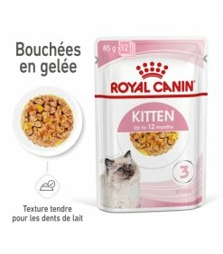 ROYAL CANIN CAT KITTEN BOUCHEE EN GELEE 12 X 85G -alimentation chats boutique cat kitten bouchee en gelee 12 x 85g 7