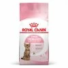 ROYAL CANIN Cat Kitten Stérilisé 400 G 1 ROYAL CANIN Cat Kitten Stérilisé 400 G -alimentation chats boutique cat kitten sterilise 2 kg 14