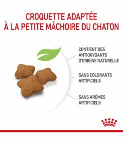 ROYAL CANIN Cat Kitten Stérilisé 400 G 12 ROYAL CANIN Cat Kitten Stérilisé 400 G -alimentation chats boutique cat kitten sterilise 2 kg 17