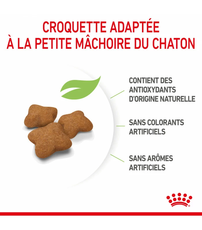 ROYAL CANIN Cat Kitten Stérilisé 400 G 6 ROYAL CANIN Cat Kitten Stérilisé 400 G – Image 4