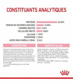 ROYAL CANIN Cat Kitten Stérilisé 400 G 13 ROYAL CANIN Cat Kitten Stérilisé 400 G -alimentation chats boutique cat kitten sterilise 2 kg 18