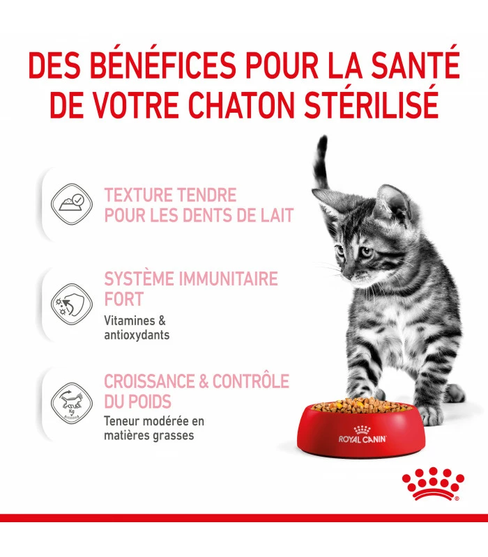 ROYAL CANIN CAT KITTEN STERILIZED BOUCHEE EN GELEE 12 X 85G 5 ROYAL CANIN CAT KITTEN STERILIZED BOUCHEE EN GELEE 12 X 85G – Image 3
