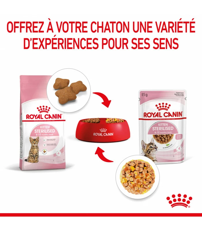 ROYAL CANIN CAT KITTEN STERILIZED BOUCHEE EN GELEE 12 X 85G 6 ROYAL CANIN CAT KITTEN STERILIZED BOUCHEE EN GELEE 12 X 85G – Image 4