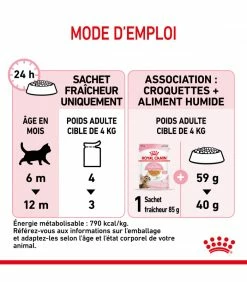 ROYAL CANIN CAT KITTEN STERILIZED BOUCHEE EN GELEE 12 X 85G 16 ROYAL CANIN CAT KITTEN STERILIZED BOUCHEE EN GELEE 12 X 85G -alimentation chats boutique cat kitten sterilized bouchee en gelee 12 x 85g 5