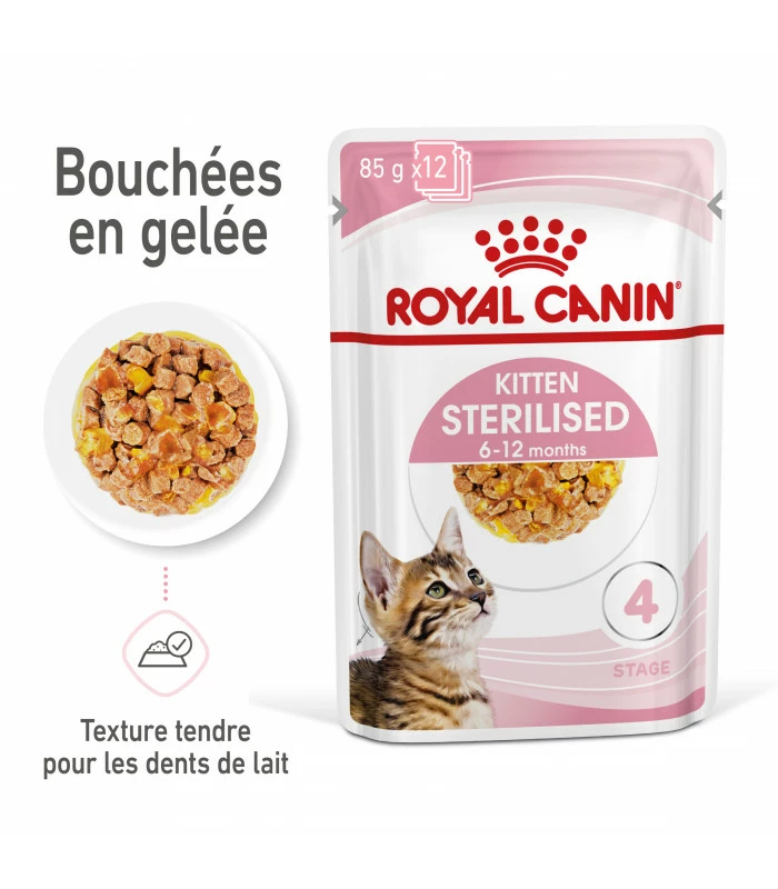 ROYAL CANIN CAT KITTEN STERILIZED BOUCHEE EN GELEE 12 X 85G 10 ROYAL CANIN CAT KITTEN STERILIZED BOUCHEE EN GELEE 12 X 85G – Image 8