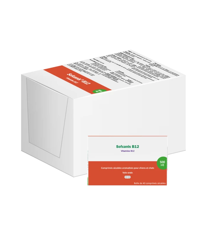 OSALIA Complément B12 Chien Et Chat 400 Cps. - Sofcanis 4 OSALIA Complément B12 Chien Et Chat 400 Cps. - Sofcanis – Image 2