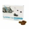 TVM Complément LYSINE Chat Et Chaton 1 TVM Complément LYSINE Chat Et Chaton -alimentation chats boutique complement lysine chat et chaton