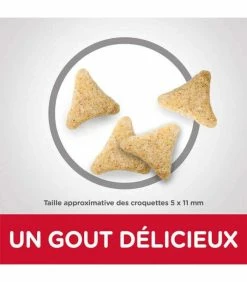 HILL'S Pet Nutrition Croquettes ADULT HAIRBALL INDOOR POULET Chat Sac 1.5 Kg - Science Plan 7 HILL'S Pet Nutrition Croquettes ADULT HAIRBALL INDOOR POULET Chat Sac 1.5 Kg - Science Plan -alimentation chats boutique croquettes adult hairball indoor poulet chat sac 1 kg science plan 1