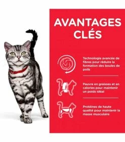 HILL'S Pet Nutrition Croquettes ADULT HAIRBALL INDOOR POULET Chat Sac 1.5 Kg - Science Plan 8 HILL'S Pet Nutrition Croquettes ADULT HAIRBALL INDOOR POULET Chat Sac 1.5 Kg - Science Plan -alimentation chats boutique croquettes adult hairball indoor poulet chat sac 1 kg science plan 2