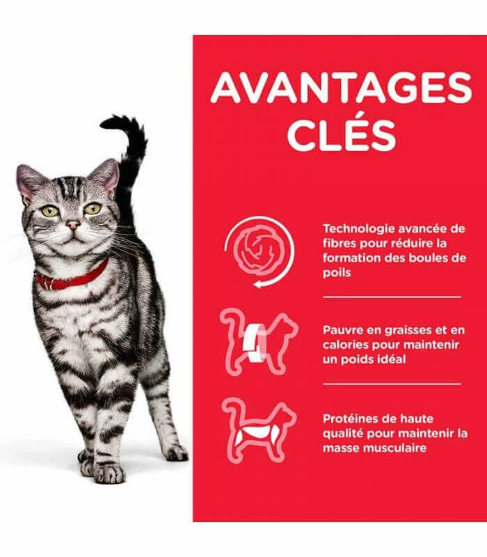 HILL'S Pet Nutrition Croquettes ADULT HAIRBALL INDOOR POULET Chat Sac 1.5 Kg - Science Plan 5 HILL'S Pet Nutrition Croquettes ADULT HAIRBALL INDOOR POULET Chat Sac 1.5 Kg - Science Plan – Image 3