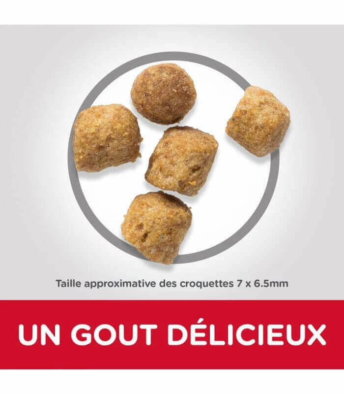 HILL'S Pet Nutrition Croquettes ADULT LIGHT POULET Chat Sac 3 Kg - Science Plan 4 HILL'S Pet Nutrition Croquettes ADULT LIGHT POULET Chat Sac 3 Kg - Science Plan – Image 2
