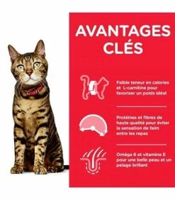 HILL'S Pet Nutrition Croquettes ADULT LIGHT POULET Chat Sac 3 Kg - Science Plan 8 HILL'S Pet Nutrition Croquettes ADULT LIGHT POULET Chat Sac 3 Kg - Science Plan -alimentation chats boutique croquettes adult light poulet chat sac 3 kg science plan 2
