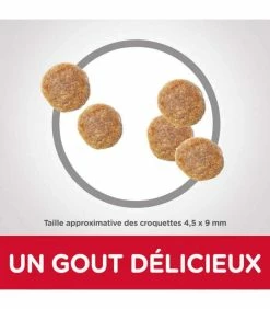 HILL'S Pet Nutrition Croquettes ADULT LIGHT THON Chat Sac 1.5 Kg - Science Plan 10 HILL'S Pet Nutrition Croquettes ADULT LIGHT THON Chat Sac 1.5 Kg - Science Plan -alimentation chats boutique croquettes adult light thon chat sac 1 kg science plan 3