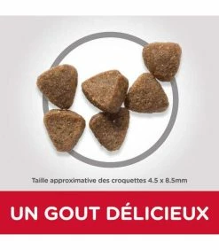 HILL'S Pet Nutrition Croquettes ADULT POULET Chat Sac 3 Kg - Science Plan -alimentation chats boutique croquettes adult poulet chat sac 3 kg science plan 2