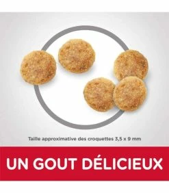 HILL'S Pet Nutrition Croquettes ADULT SENSITIVE STOMACH&SKIN POULET Chat Sac 1,5 Kg - Science Plan -alimentation chats boutique croquettes adult sensitive stomachskin poulet chat sac 1 kg science plan 2
