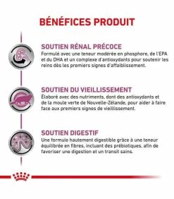 ROYAL CANIN Croquettes EARLY RENAL Chat Sac 400 G - Veterinary Health Nutrition -alimentation chats boutique croquettes early renal chat sac 400 g veterinary health nutrition 2