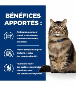 HILL'S Pet Nutrition Croquettes GASTROINTESTINAL BIOME POULET Chat Sac 3 Kg - Prescription Diet 17 HILL'S Pet Nutrition Croquettes GASTROINTESTINAL BIOME POULET Chat Sac 3 Kg - Prescription Diet -alimentation chats boutique croquettes gastrointestinal biome poulet chat sac 3 kg prescription diet 6