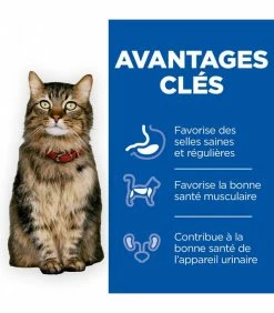 HILL'S Pet Nutrition Croquettes HEALTHY DIGESTIVE BIOME SAUMON Chat Sac 8 Kg - Vet Essentials 9 HILL'S Pet Nutrition Croquettes HEALTHY DIGESTIVE BIOME SAUMON Chat Sac 8 Kg - Vet Essentials -alimentation chats boutique croquettes healthy digestive biome saumon chat sac 8 kg vet essentials 2