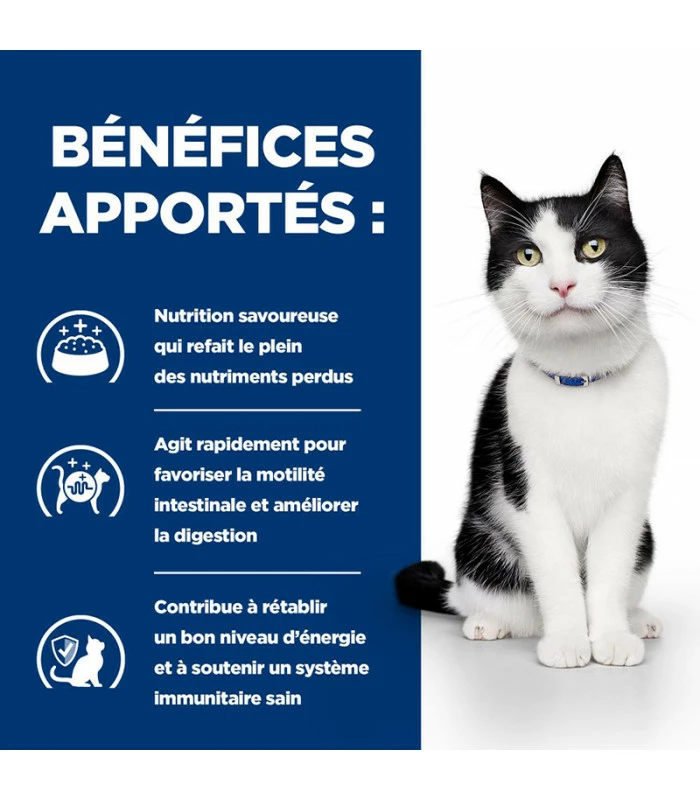 HILL'S Pet Nutrition Croquettes I/D DIGESTIVE Chat Et Chaton Sac 400 G - Prescription Diet 7 HILL'S Pet Nutrition Croquettes I/D DIGESTIVE Chat Et Chaton Sac 400 G - Prescription Diet – Image 5