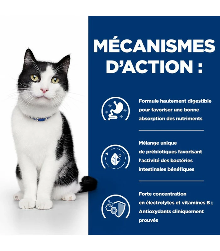 HILL'S Pet Nutrition Croquettes I/D DIGESTIVE Chat Et Chaton Sac 400 G - Prescription Diet 8 HILL'S Pet Nutrition Croquettes I/D DIGESTIVE Chat Et Chaton Sac 400 G - Prescription Diet – Image 6