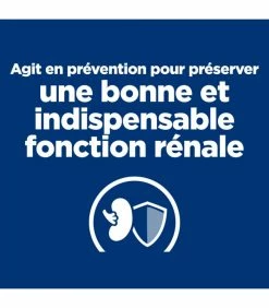 HILL'S Pet Nutrition Croquettes K/D KIDNEY EARLY STAGE POULET Chat Sac 3 Kg - Prescription Diet 13 HILL'S Pet Nutrition Croquettes K/D KIDNEY EARLY STAGE POULET Chat Sac 3 Kg - Prescription Diet -alimentation chats boutique croquettes kd kidney early stage poulet chat sac 3 kg prescription diet 2