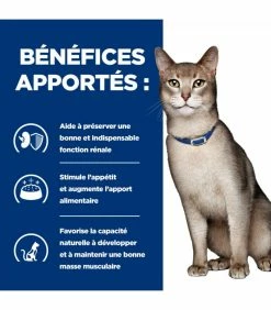 HILL'S Pet Nutrition Croquettes K/D KIDNEY POULET Chat Sac 8 Kg - Prescription Diet -alimentation chats boutique croquettes kd kidney poulet chat sac 3 kg prescription diet 11