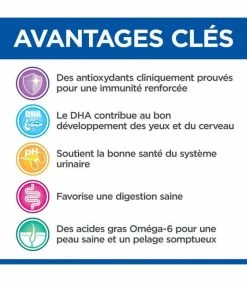 HILL'S Pet Nutrition Croquettes KITTEN GROWTH POULET Chat Sac 2.5 Kg - Vet Essentials -alimentation chats boutique croquettes kitten growth poulet chat sac 2 kg vetessentials 2