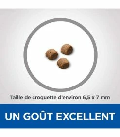 HILL'S Pet Nutrition Croquettes KITTEN GROWTH POULET Chat Sac 2.5 Kg - Vet Essentials -alimentation chats boutique croquettes kitten growth poulet chat sac 2 kg vetessentials 3