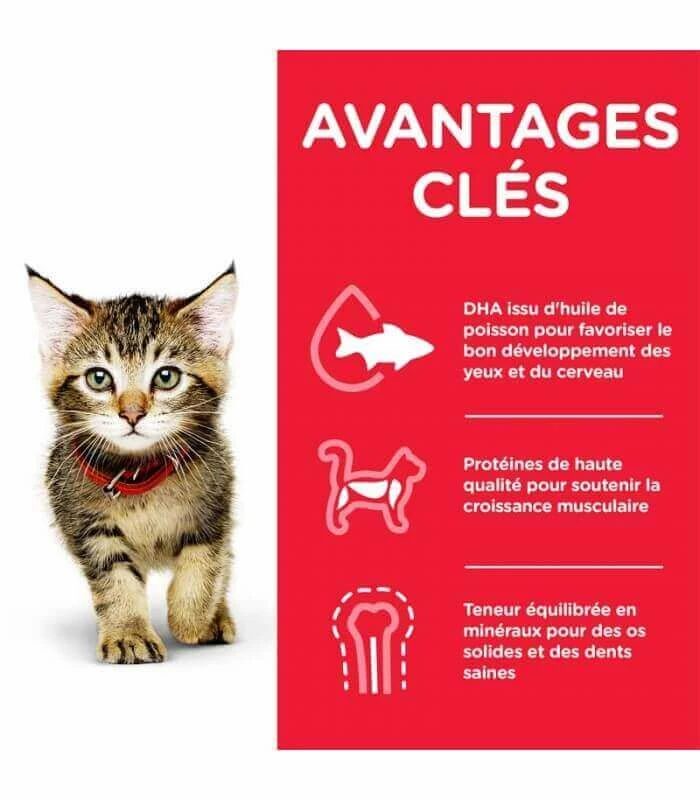 HILL'S Pet Nutrition Croquettes KITTEN POULET Chaton Sac 3 Kg - Science Plan 4 HILL'S Pet Nutrition Croquettes KITTEN POULET Chaton Sac 3 Kg - Science Plan – Image 2