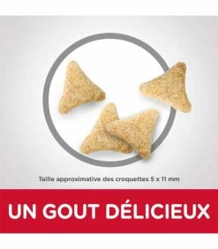 HILL'S Pet Nutrition Croquettes MATURE ADULT 7+ HAIRBALL INDOOR POULET Chat Sac 1.5 Kg - Science Plan -alimentation chats boutique croquettes mature adult 7 hairball indoor poulet chat sac 1 kg science plan 2