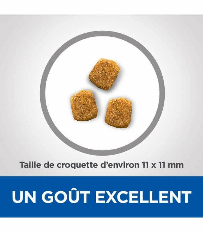 HILL'S Pet Nutrition Croquettes MATURE DENTAL HEALTH POULET Chat Sac 1.5 Kg - Vet Essentials 4 HILL'S Pet Nutrition Croquettes MATURE DENTAL HEALTH POULET Chat Sac 1.5 Kg - Vet Essentials – Image 2