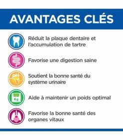 HILL'S Pet Nutrition Croquettes MATURE DENTAL HEALTH POULET Chat Sac 2,5 Kg - Vet Essentials 9 HILL'S Pet Nutrition Croquettes MATURE DENTAL HEALTH POULET Chat Sac 2,5 Kg - Vet Essentials -alimentation chats boutique croquettes mature dental health poulet chat sac 2 kg vetessentials 1