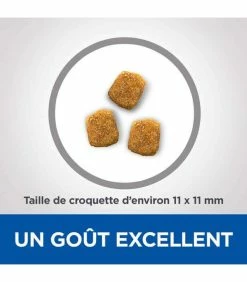 HILL'S Pet Nutrition Croquettes MATURE DENTAL HEALTH POULET Chat Sac 2,5 Kg - Vet Essentials 10 HILL'S Pet Nutrition Croquettes MATURE DENTAL HEALTH POULET Chat Sac 2,5 Kg - Vet Essentials -alimentation chats boutique croquettes mature dental health poulet chat sac 2 kg vetessentials 2