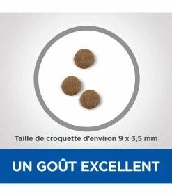 HILL'S Pet Nutrition Croquettes NEUTERED MATURE ADULT 7+ POULET Chat Sac 1.5 Kg - Vet Essentials -alimentation chats boutique croquettes neutered mature adult 7 poulet chat sac 1 kg vetessentials 3