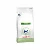 ROYAL CANIN Croquettes PEDIATRIC GROWTH Chat Sac 2 Kg - Veterinary Care Nutrition 1 ROYAL CANIN Croquettes PEDIATRIC GROWTH Chat Sac 2 Kg - Veterinary Care Nutrition -alimentation chats boutique croquettes pediatric growth chat sac 2 kg veterinary care nutrition