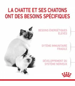 ROYAL CANIN Croquettes Cat Mother And Babycat Chat Sac 4 Kg - Veterinary Care Nutrition 11 ROYAL CANIN Croquettes Cat Mother And Babycat Chat Sac 4 Kg - Veterinary Care Nutrition -alimentation chats boutique croquettes pediatric weaning chat sac 2 kg veterinary care nutrition 10