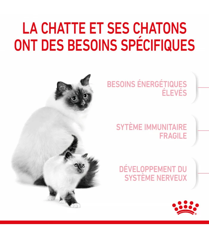 ROYAL CANIN Croquettes Cat Mother And Babycat Chat Sac 4 Kg - Veterinary Care Nutrition 4 ROYAL CANIN Croquettes Cat Mother And Babycat Chat Sac 4 Kg - Veterinary Care Nutrition – Image 2