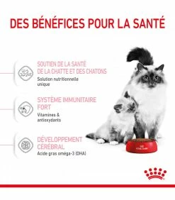 ROYAL CANIN Croquettes Cat Mother And Babycat Chat Sac 4 Kg - Veterinary Care Nutrition 12 ROYAL CANIN Croquettes Cat Mother And Babycat Chat Sac 4 Kg - Veterinary Care Nutrition -alimentation chats boutique croquettes pediatric weaning chat sac 2 kg veterinary care nutrition 11