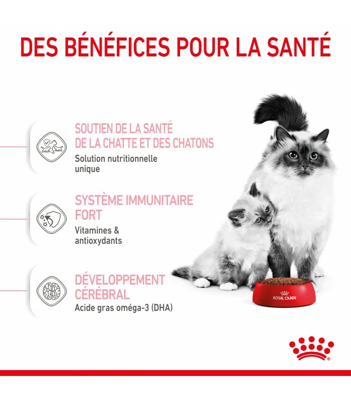 ROYAL CANIN Croquettes Cat Mother And Babycat Chat Sac 4 Kg - Veterinary Care Nutrition 5 ROYAL CANIN Croquettes Cat Mother And Babycat Chat Sac 4 Kg - Veterinary Care Nutrition – Image 3