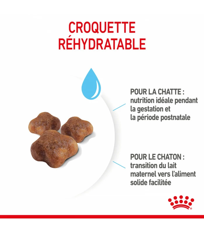 ROYAL CANIN Croquettes Cat Mother And Babycat Chat Sac 4 Kg - Veterinary Care Nutrition 6 ROYAL CANIN Croquettes Cat Mother And Babycat Chat Sac 4 Kg - Veterinary Care Nutrition – Image 4