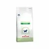 ROYAL CANIN Croquettes PEDIATRIC WEANING Sac 400 G Chat - Veterinary Care Nutrition