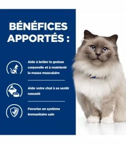 HILL'S Pet Nutrition Croquettes R/D WEIGHT LOSS POULET Chat Sac 3 Kg - Prescription Diet 13 HILL'S Pet Nutrition Croquettes R/D WEIGHT LOSS POULET Chat Sac 3 Kg - Prescription Diet -alimentation chats boutique croquettes rd weight loss poulet chat sac 3 kg prescription diet 3