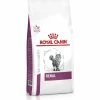 ROYAL CANIN Croquettes RENAL Chat Sac 400 G - Veterinary Health Nutrition 1 ROYAL CANIN Croquettes RENAL Chat Sac 400 G - Veterinary Health Nutrition -alimentation chats boutique croquettes renal chat sac 400 g veterinary health nutrition