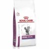 ROYAL CANIN Croquettes RENAL SPECIAL Chat Sac 2 Kg - Veterinary Health Nutrition 1 ROYAL CANIN Croquettes RENAL SPECIAL Chat Sac 2 Kg - Veterinary Health Nutrition -alimentation chats boutique croquettes renal special chat sac 2 kg veterinary health nutrition