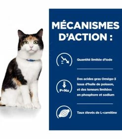 HILL'S Pet Nutrition Croquettes Y/D THYROID POULET Chat Sac 1.5 Kg - Prescription Diet 18 HILL'S Pet Nutrition Croquettes Y/D THYROID POULET Chat Sac 1.5 Kg - Prescription Diet -alimentation chats boutique croquettes yd thyroid poulet chat sac 15 kg prescription diet 6