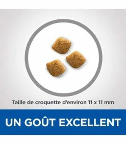 HILL'S Pet Nutrition Croquettes YOUNG ADULT DENTAL HEALTH POULET Chat Sac 2.5 Kg - Vet Essentials 9 HILL'S Pet Nutrition Croquettes YOUNG ADULT DENTAL HEALTH POULET Chat Sac 2.5 Kg - Vet Essentials -alimentation chats boutique croquettes young adult dental health poulet chat sac 2 kg vetessentials 2